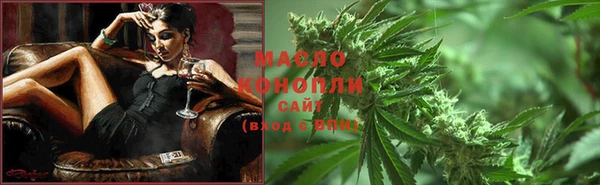 соль ск Алексин