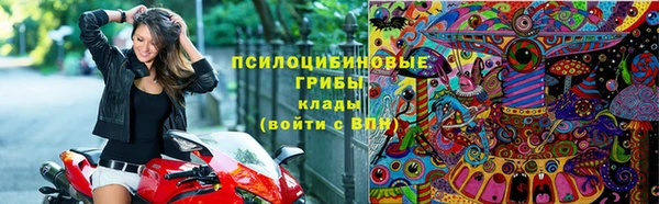 соль ск Алексин