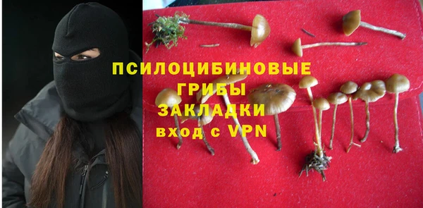 соль ск Алексин