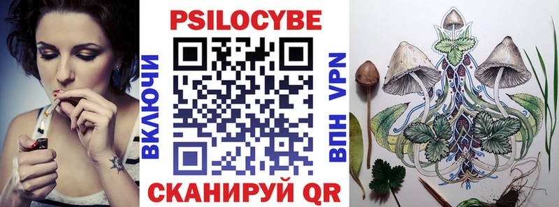 Псилоцибиновые грибы мицелий  ссылка на мегу tor  Хадыженск  дарнет шоп 